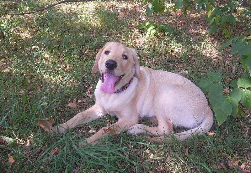 Foto: Brita-3 m�s�ce