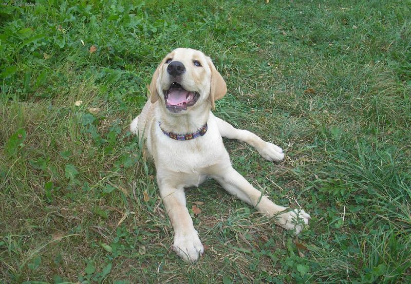 Foto: let�la v�elka