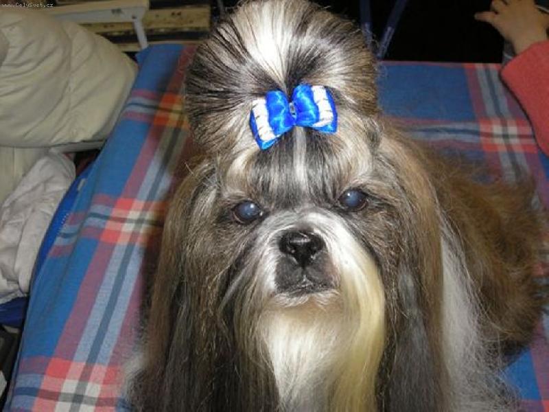 Foto: CH.Jeron Atrei