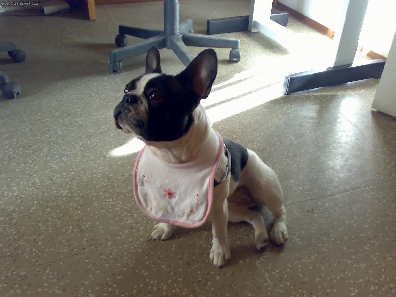 Foto: Douf�m, �e to bude dobr�!