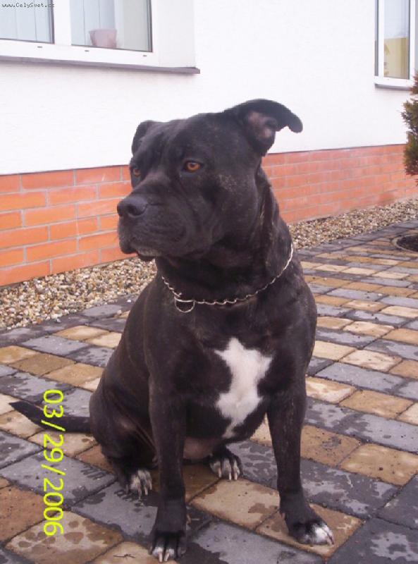 Foto: ARGO-pracovn� nasazen�