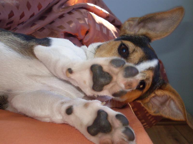 Foto: Bub�k-po r�nu :)