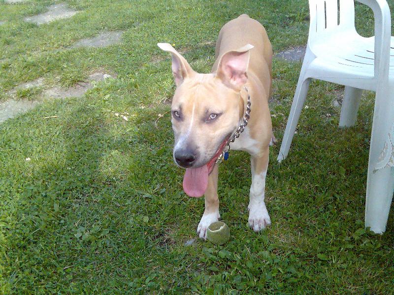 Foto: Arny-hra s m��kem