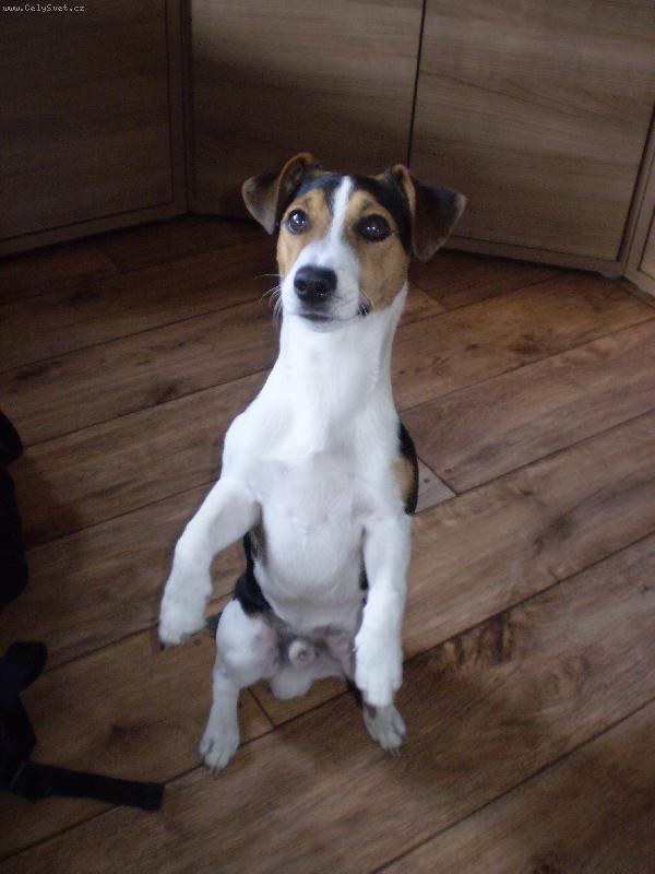 Foto: Bub�tek-veveru�ka :)