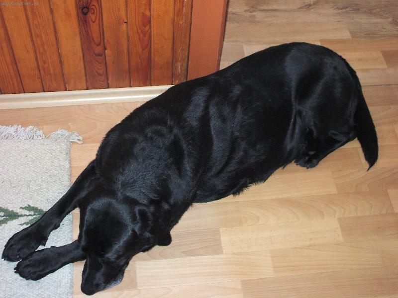 Foto: Ron���k-Spink����........