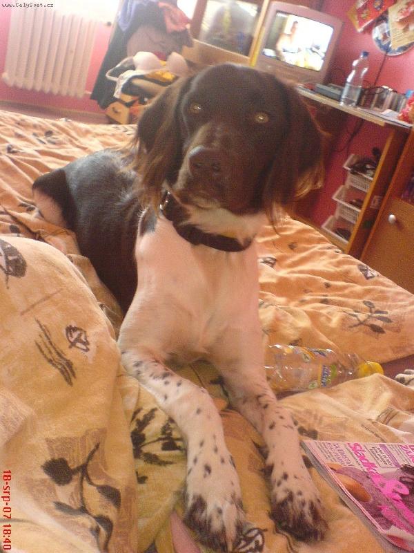 Foto: Argo ze Z�humenice- 10 m�s�c�