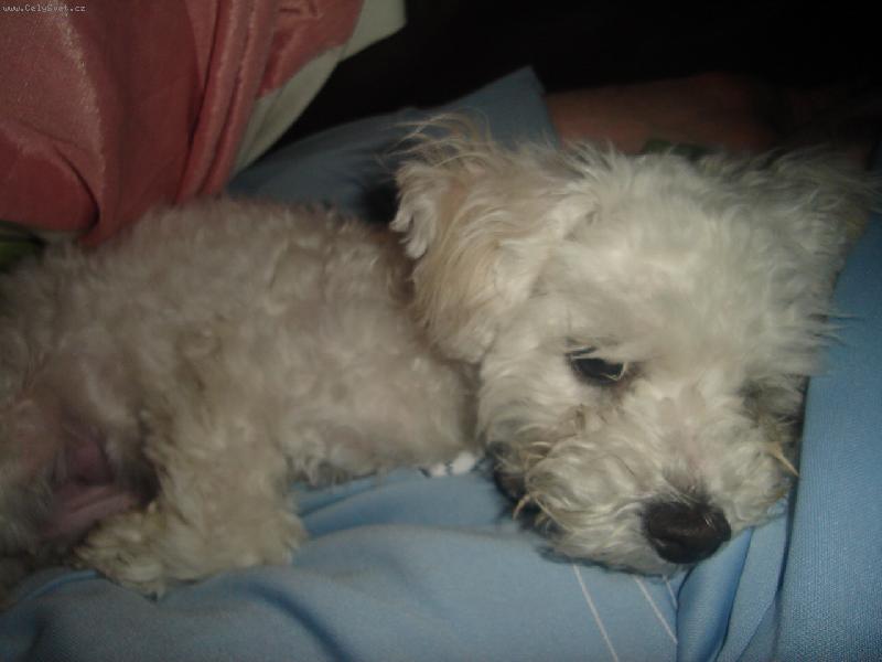 Foto: vivinka-tezky den, ufff...