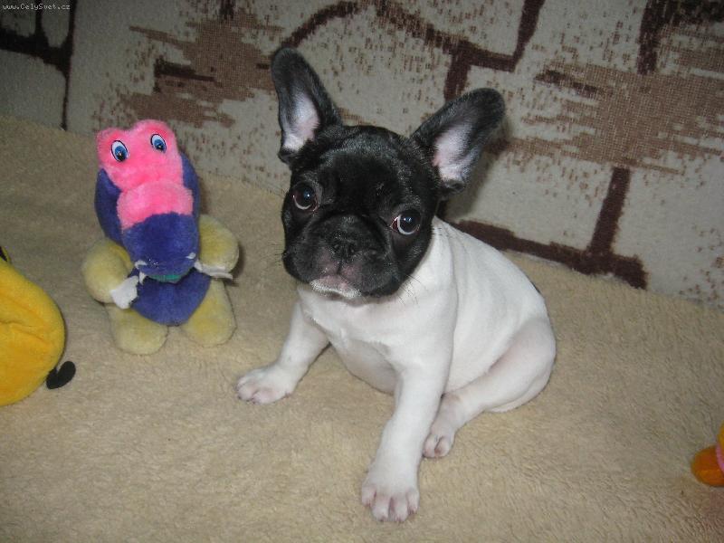 Foto: Andulka-Andulka moj� babi�ky