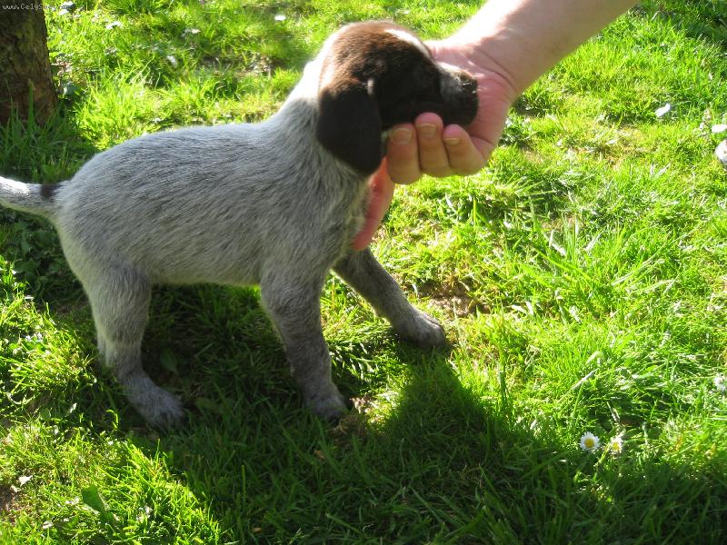 Foto: B�ra - 6t�dn�