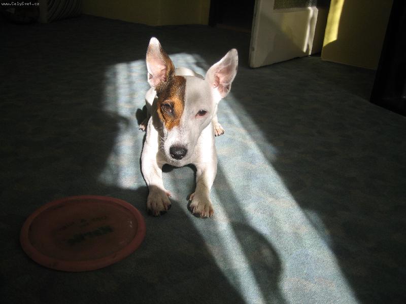 Foto: Ebby-Na slun��ku