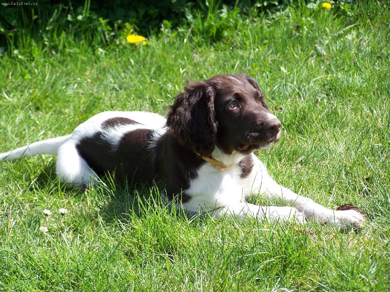 Foto: Atos - 5 m�s�c�