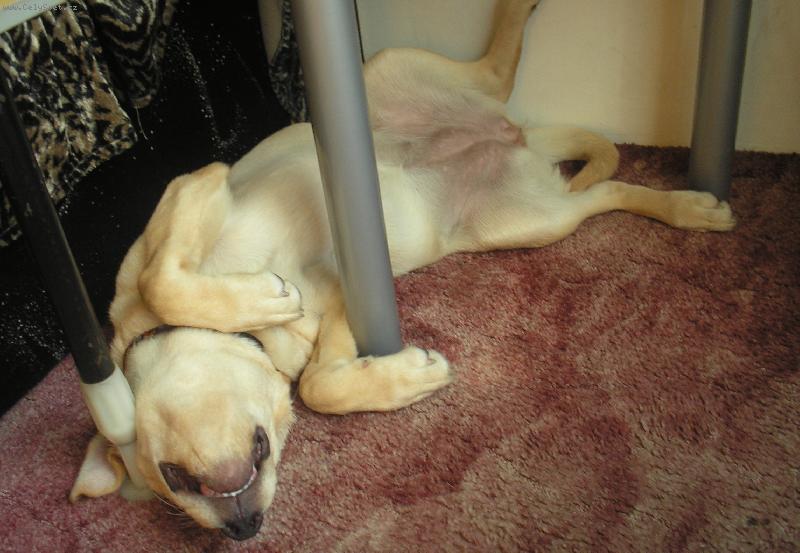 Foto: Spinu�k�-:)