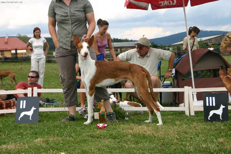 Foto: Necronomicon Nife en Anhk