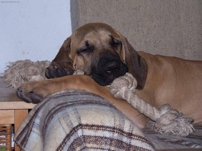 Foto: Eroni - spink�m a rostu - neru�it!