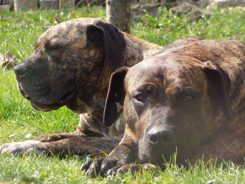 Foto: Evita a Kony (Glena)