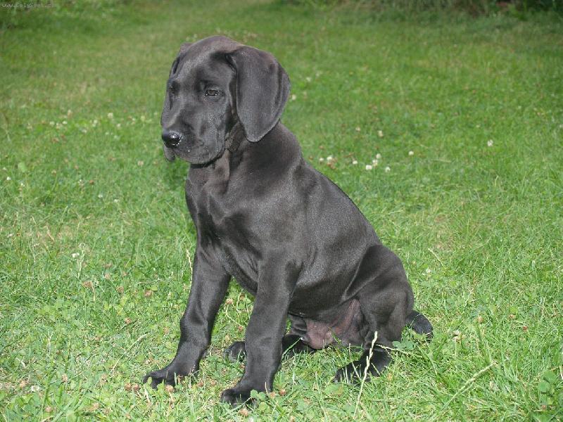 Foto: mal� krasavec