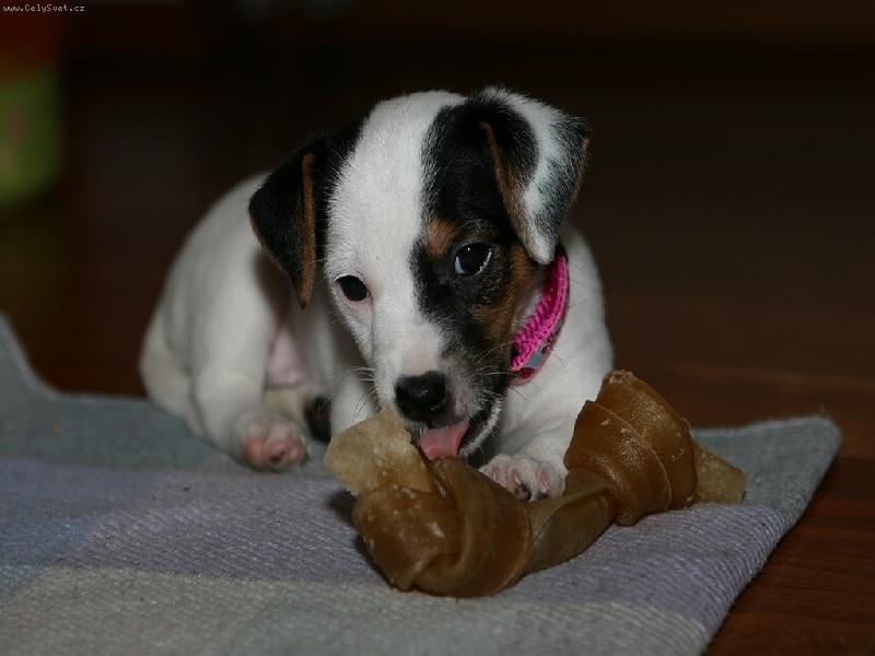 Foto: Amanda od Andulky-Amanda od Andulky