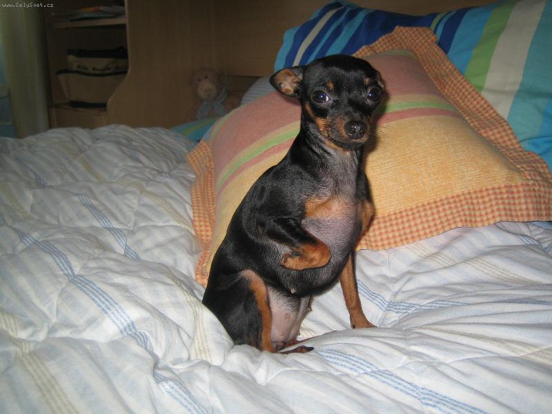 Foto: Zorinka-12 m�s�c�