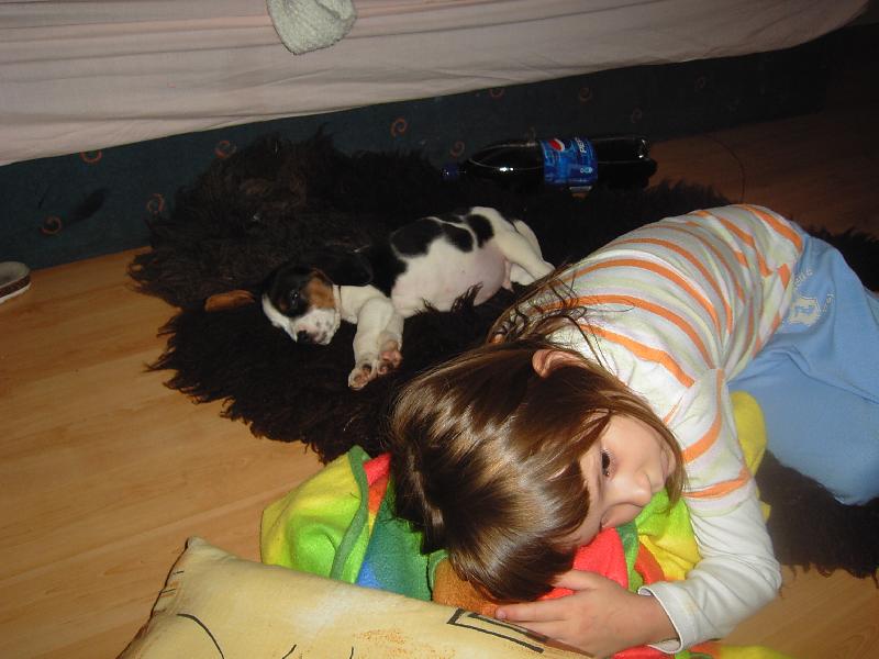 Foto: Dcera a V�no�n� d�rek