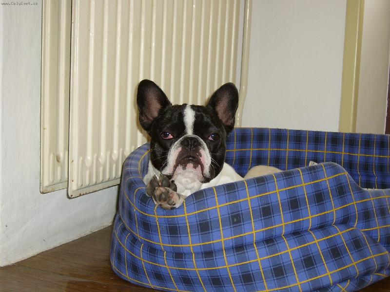 Foto: �enda z Pardubic