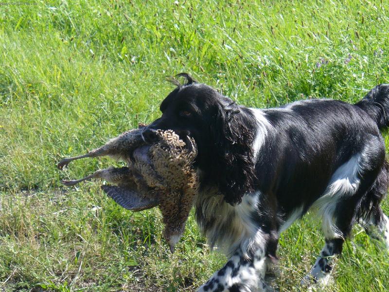 Foto: Benjamin od Kamenn� b�by-Na�el jsem ji :)