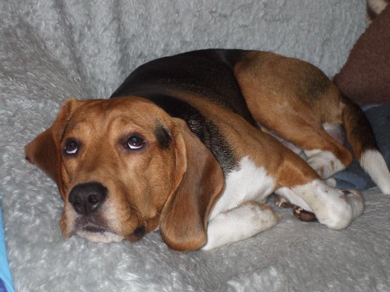 Foto: nejsem k se�r�n�-pros���m