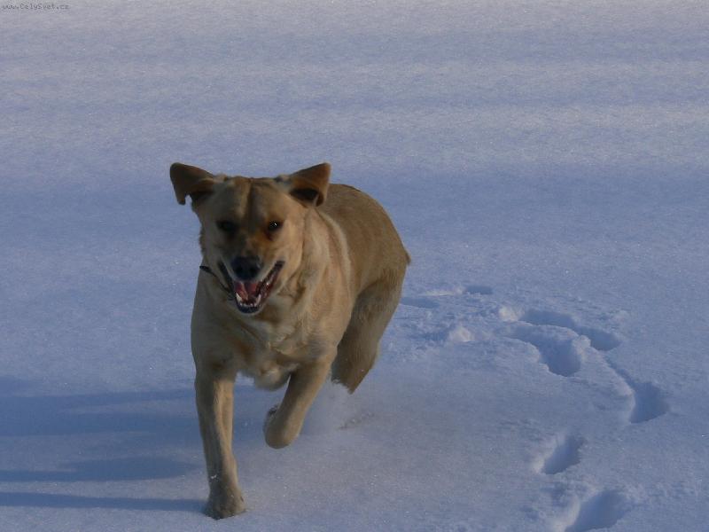 Foto: Nelly-J� t� chyt�m....