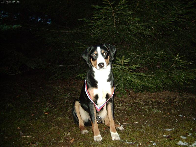 Foto: Abora z Velk�ho �jezda-9 m�s�c�