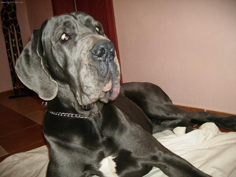 Foto: arthur apollon adonis