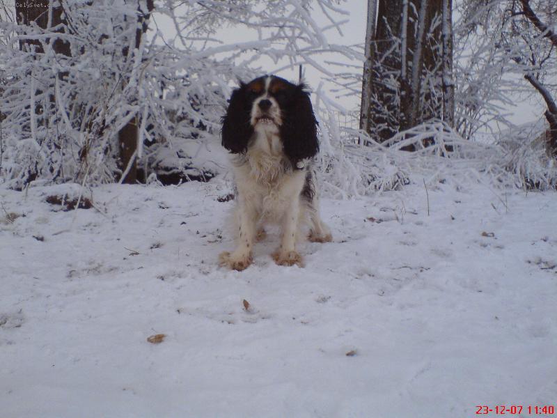 Foto: N�DHERN�-Jena