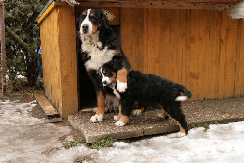 Foto: Elisa a Camillca