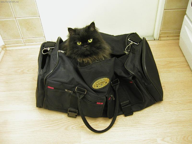 Foto: a m�me sbaleno