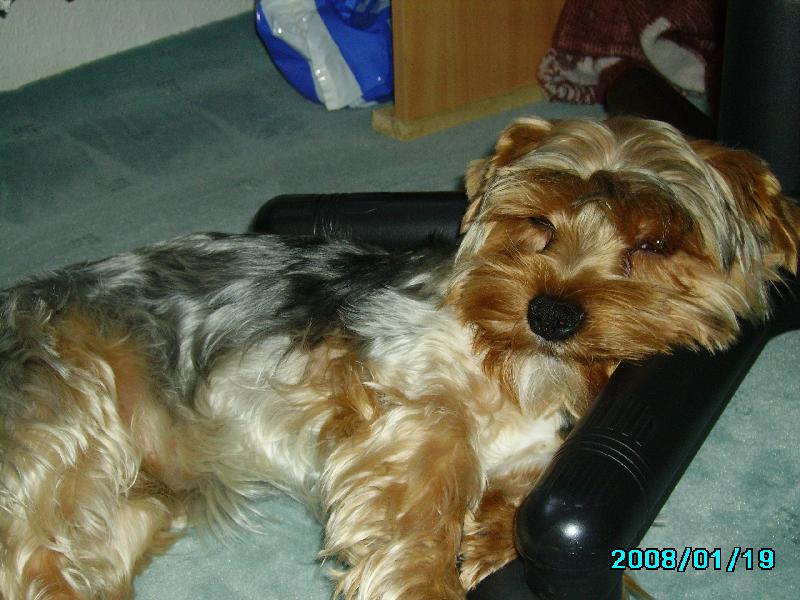 Foto: Max�k-odpo�inek