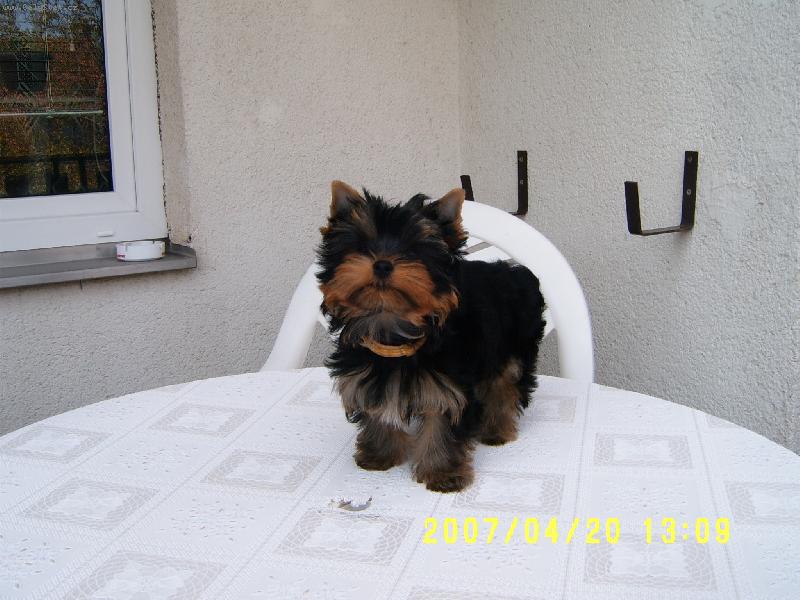 Foto: TOBBY j�t� miminko