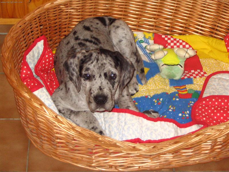 Foto: Nech m� sp����t.....