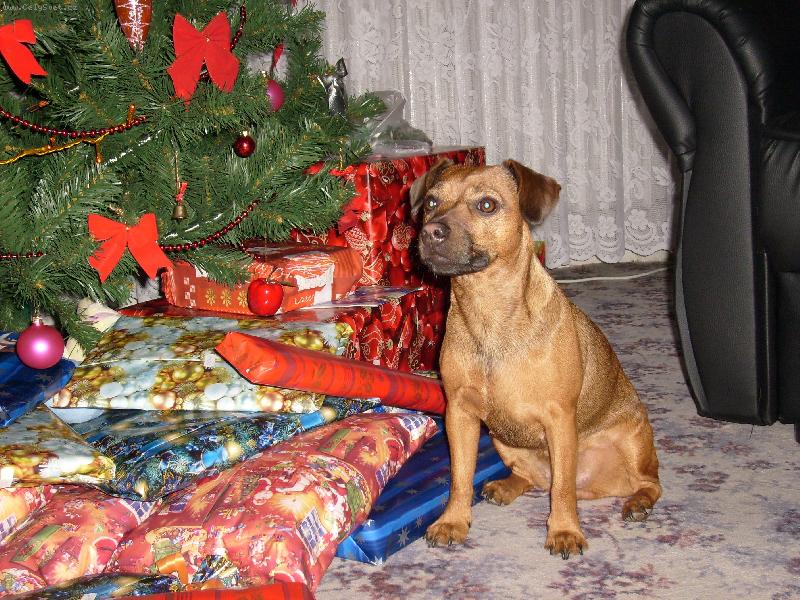 Foto: Bria a d�re�ky