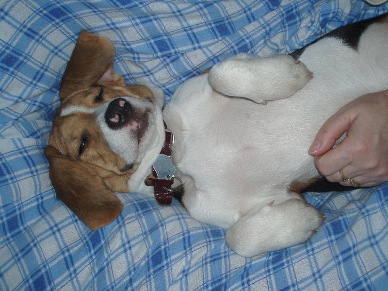 Foto: Aira-d� mi pusu?