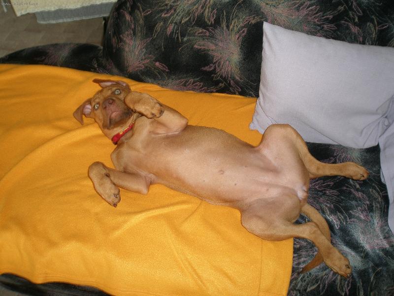 Foto: Sherry-Zase otravuje !