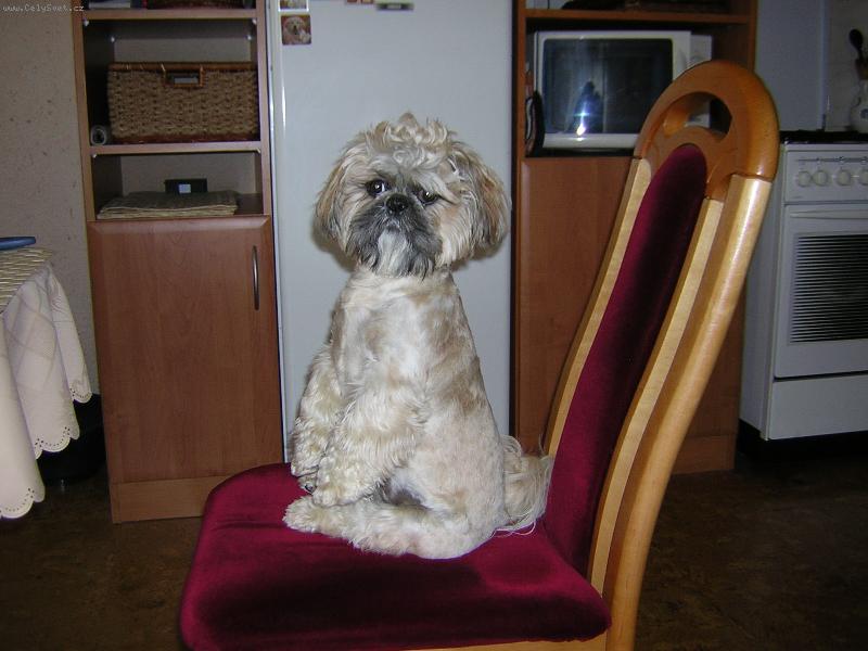 Foto: Tedy �ekaj�c� na jidlo