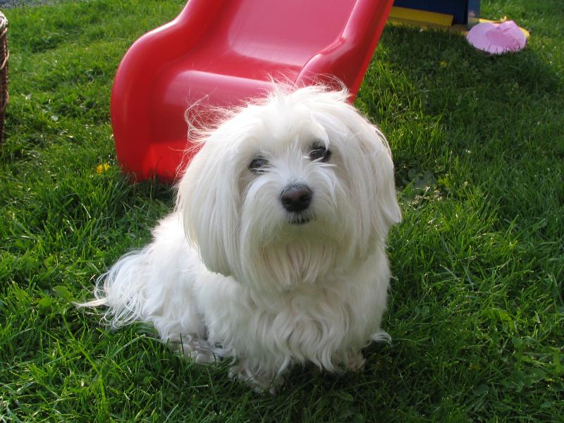 Foto: Sandy-mil��ek Sandy