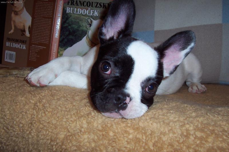 Foto: Chuckyho smutn� o�ka