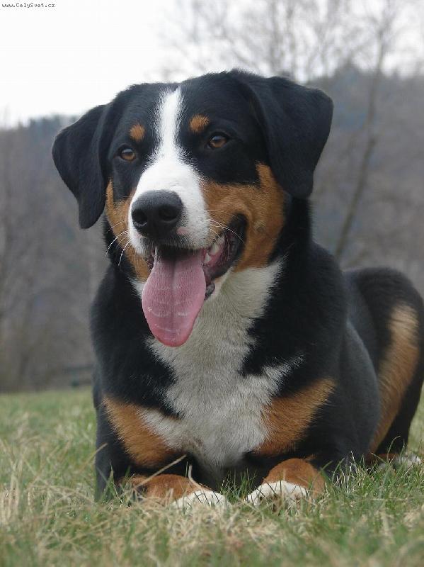 Foto: Abora z Velk�ho �jezda-11 m�s�c�