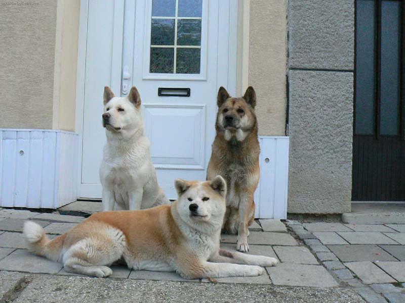 Foto: Cora-Baylene-Angie-na�e holky