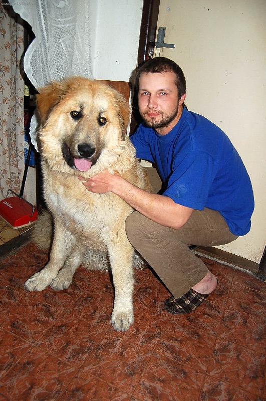 Foto: arch�-8 m�s�c�