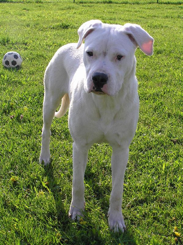 Foto: Ebony Blansk� les