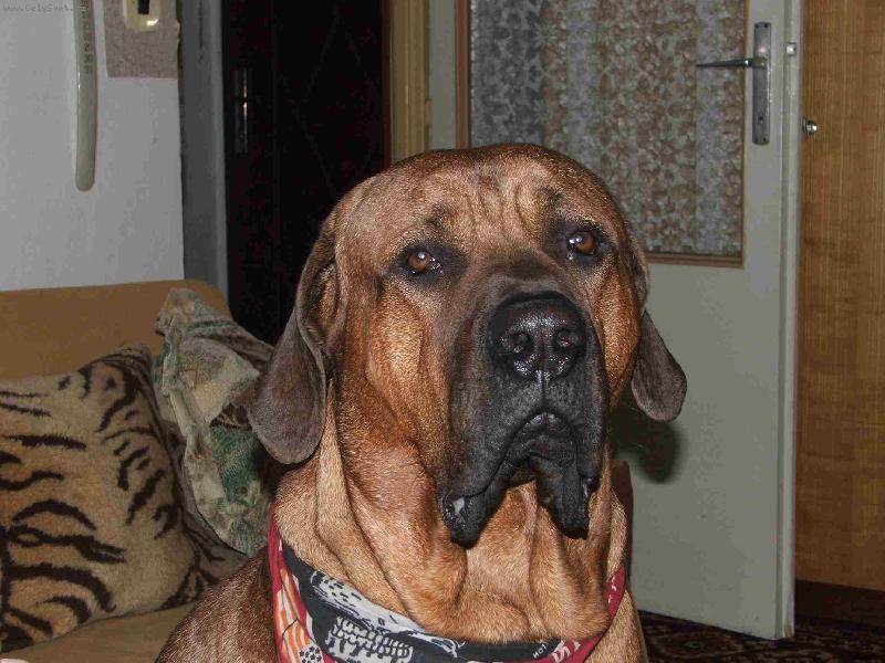 Foto: To jsem j� Rubby