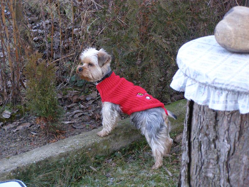 Foto: M�a hl�da�