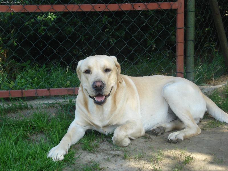 Foto: Max�k-To je ale vedro!!!