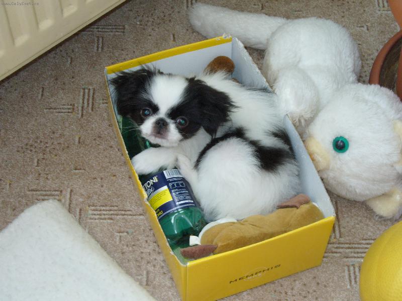 Foto: �IKO-Sladk� sny