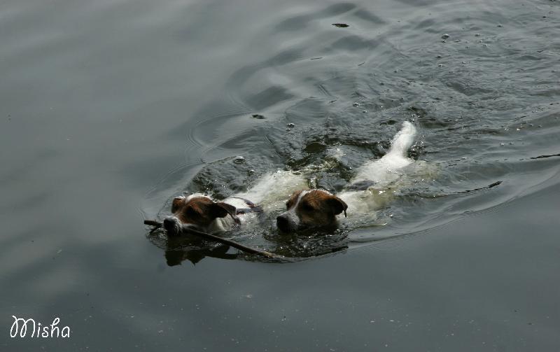 Foto: Scott� a L�ra